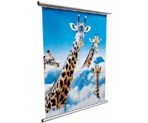 Dorr Poster Mount 70 cm