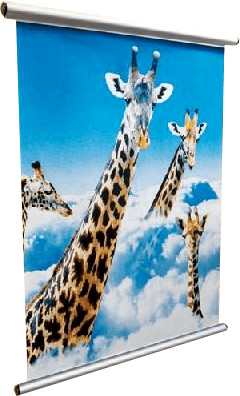 Dorr Poster Mount 70 cm