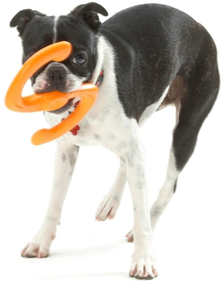 23 cm orange 23 cm orange