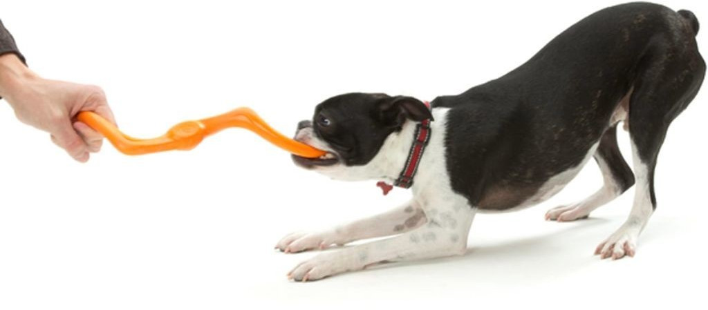 23 cm orange 23 cm orange