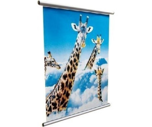 Dorr Poster Mount 85 cm