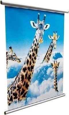 Dorr Poster Mount 85 cm