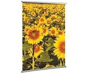 Dörr Plakathänger 61 cm