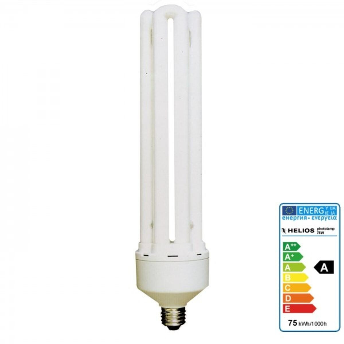 B.I.G. Lampe fluorescente lumière du jour 75 W