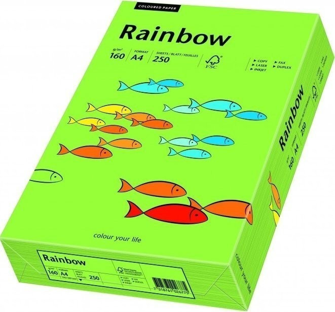 Papyrus Rainbow A4 160g/qm vert (88042659)