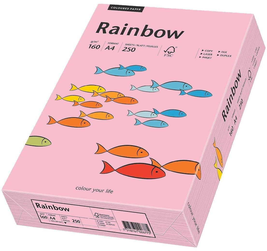 Papyrus Rainbow - Papier multifonction, A4, 160g/qm rose, 88002314 (Import Allemagne)