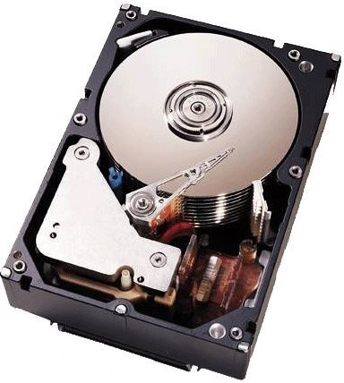 IBM NL SATA 1 To (81Y9806)