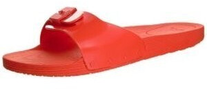 Scholl Pop