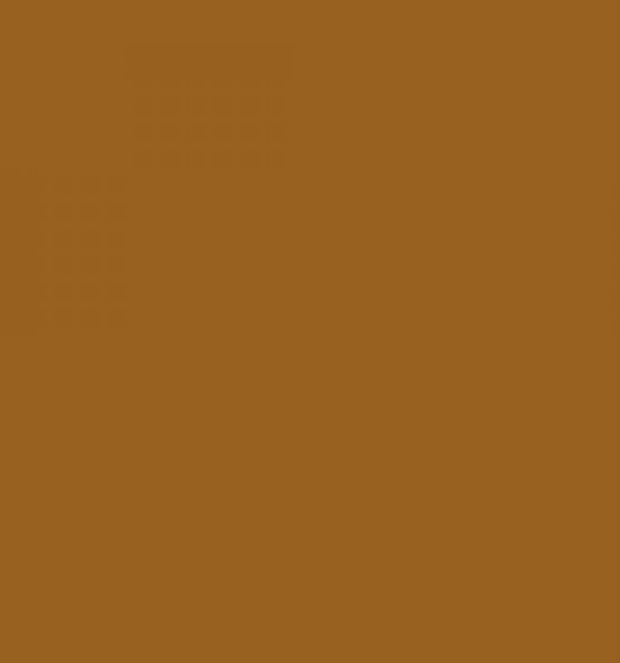 Savage (Tetenal) Paper Background 1,35x11m cocoa