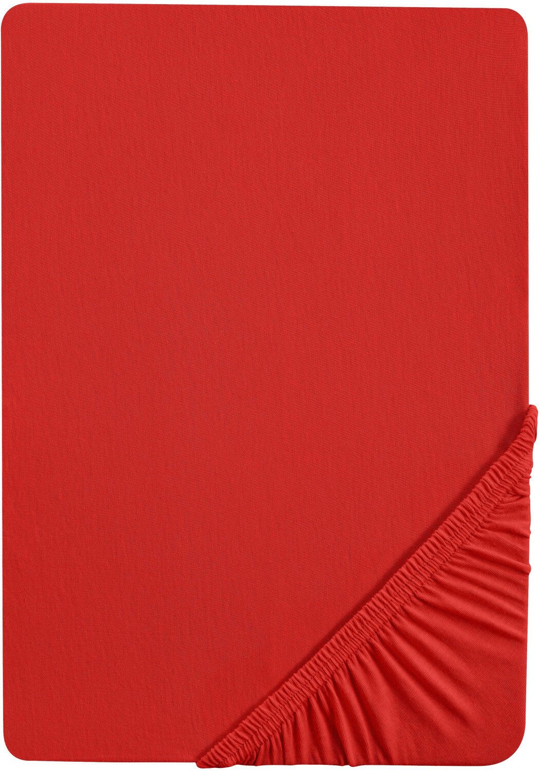 Biberna 12344 Terry Stretch 90-100x190-200cm