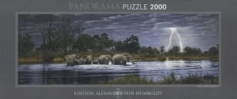 Heye Troupeau d'éléphants