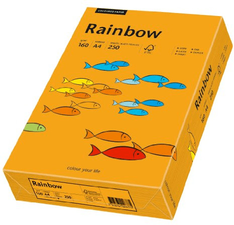 Papyrus Papier multifonctions Rainbow, A4, 160g, orange (88042439)