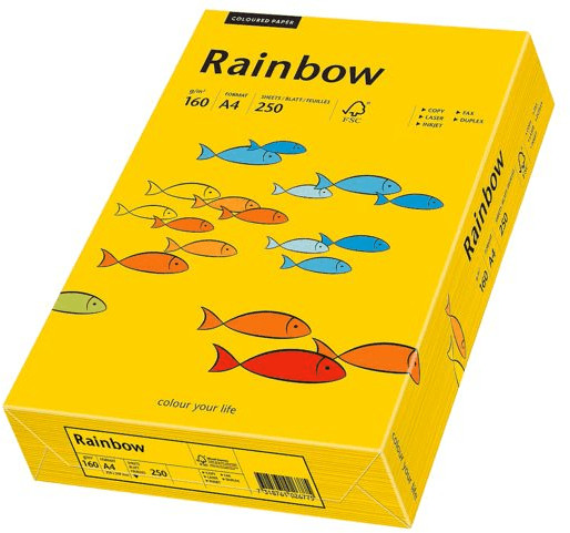 Papyrus Rainbow - Papier multifonction, A4, 160g/qm, jaune intense, 88042395 (Import Allemagne)