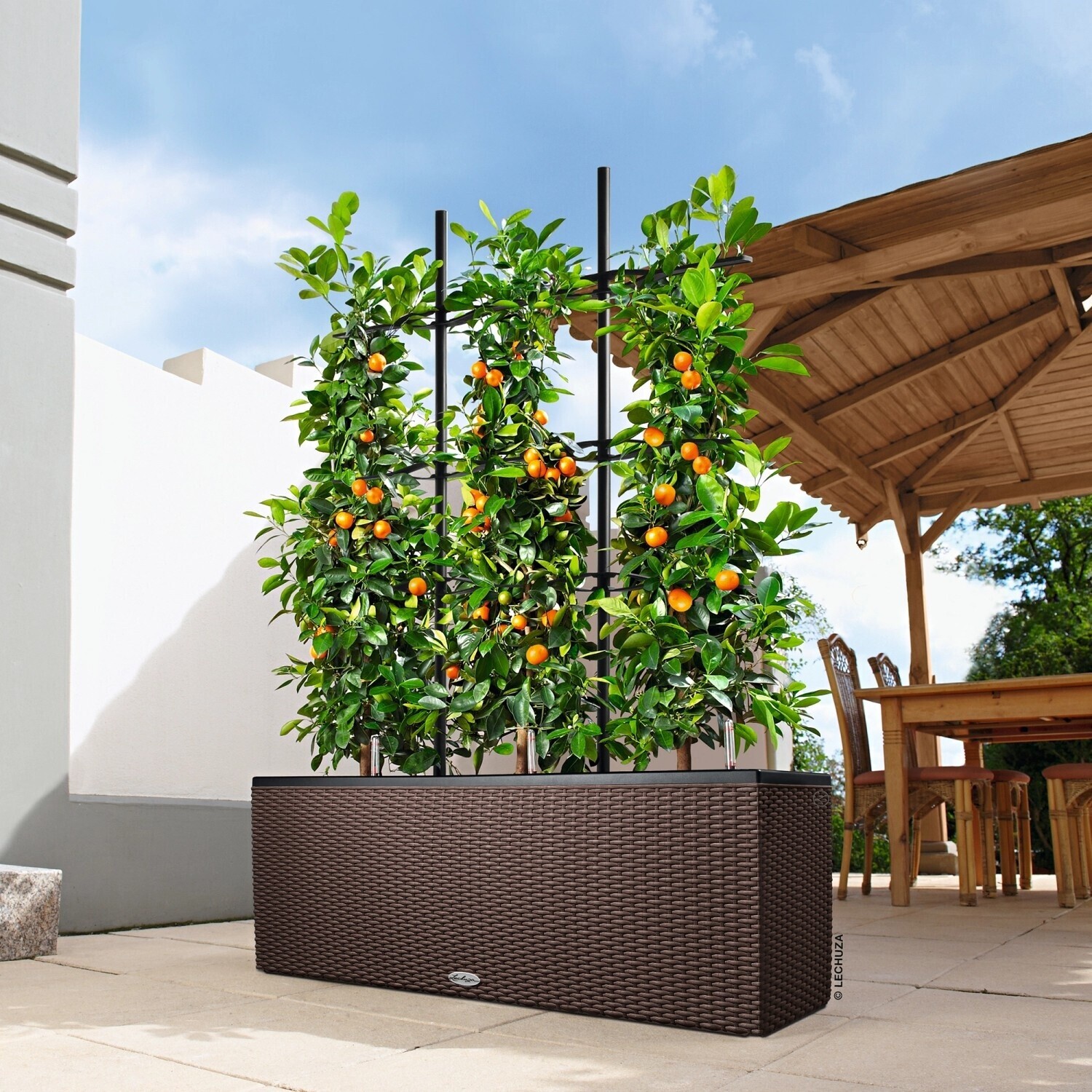 Lechuza Cube Cottage 30 Graphite Black, Self-Watering Square Planter, H11.8 L11.8 W11.8 in