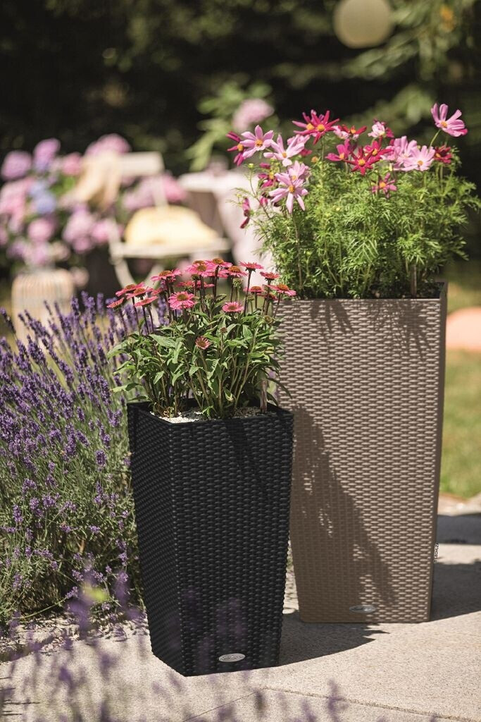 Lechuza Lechuza Cubico Cottage 40 All-in-One Set granite - view 30