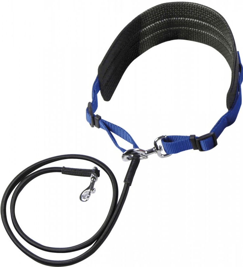 EBI Laisse de jogging élastique Sports Club (115 cm)