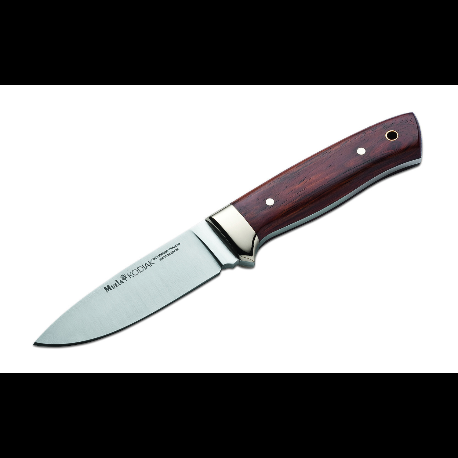 Muela Kodiak