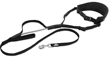 Julius K-9 Cainture de jogging avec laisse 1,90 m