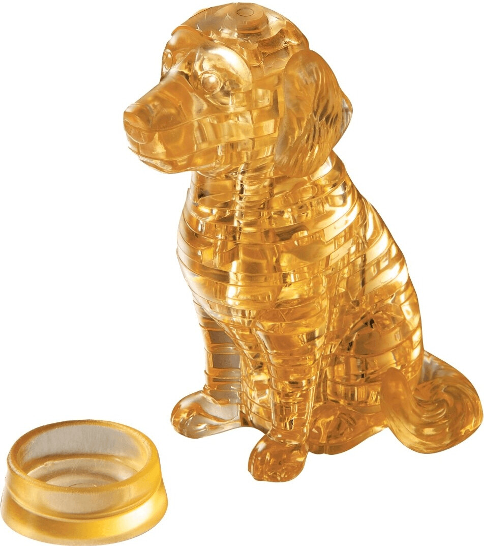 HCM Golden Retriever