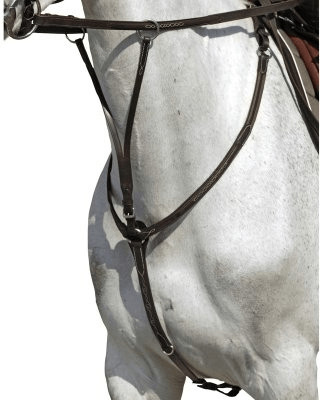 Fouganza Romeo Collier et martingale