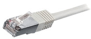 Equip Câble droit CAT6 U/UTP - 1m