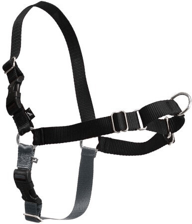 Petsafe Harnais Easy Walk L