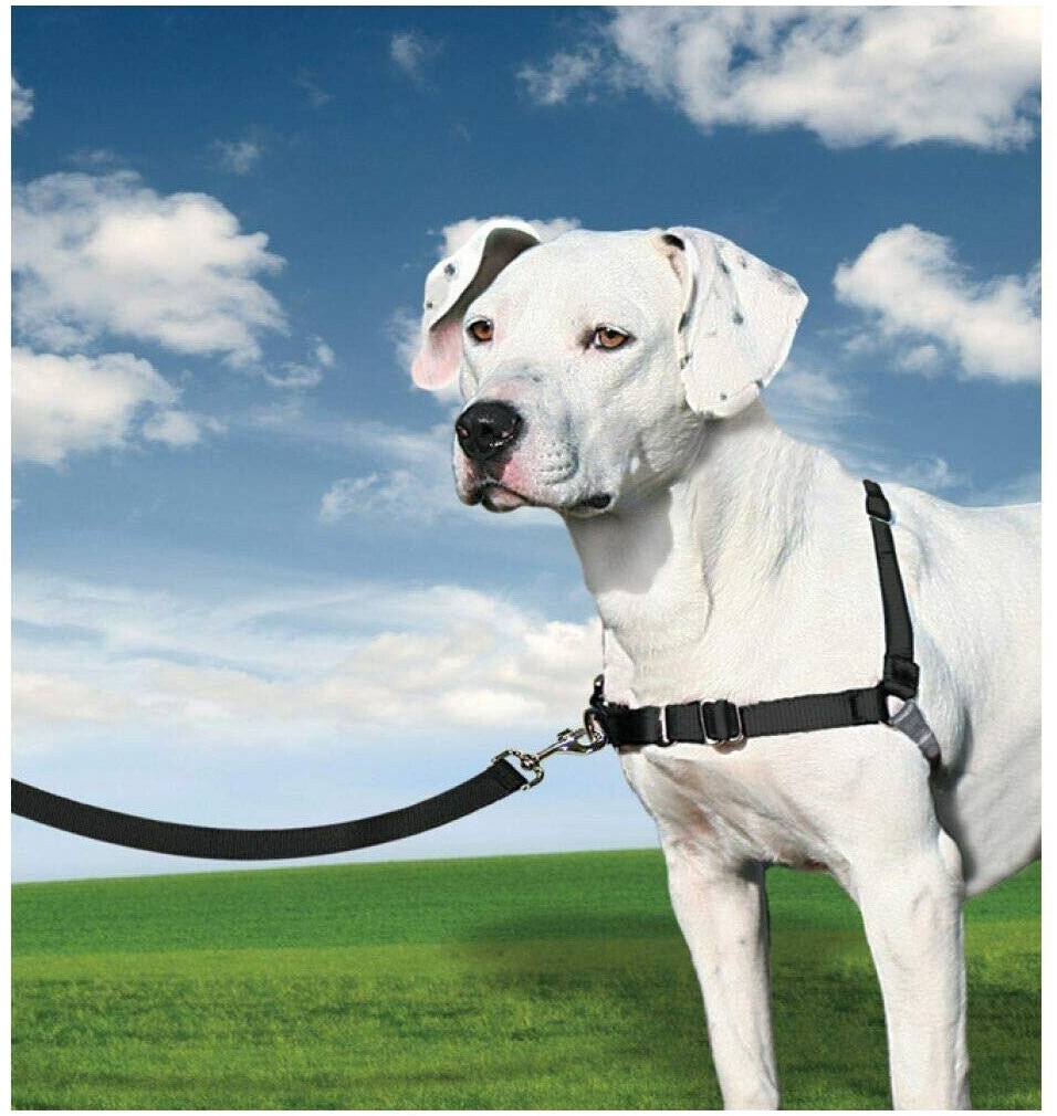 Petsafe Harnais pour chien noir Petsafe Harnais pour chien noir