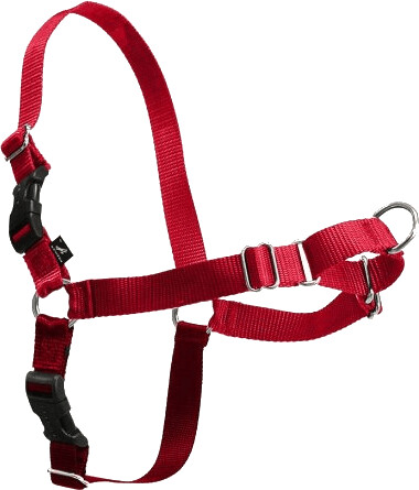 Petsafe Harnais Easy Walk XL