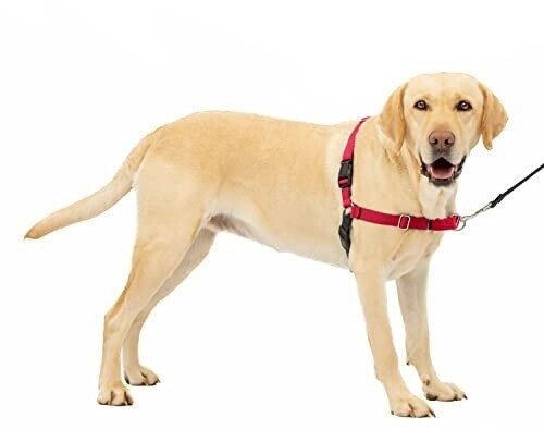 Petsafe Harnais pour chien rouge Petsafe Harnais pour chien rouge