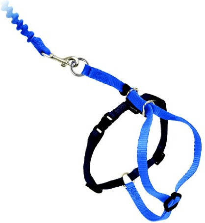 Petsafe Harnais Easy Walk et sa laisse (taille S)