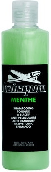 Hairgum Menthe Shampooing tonique à l'actif anti-pelliculaire (250 ml)