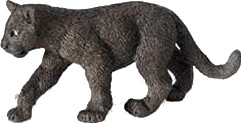 Safari 294229
