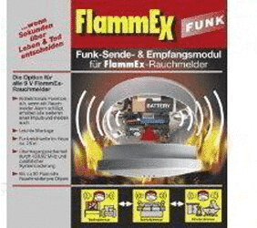 FlammEx 200834