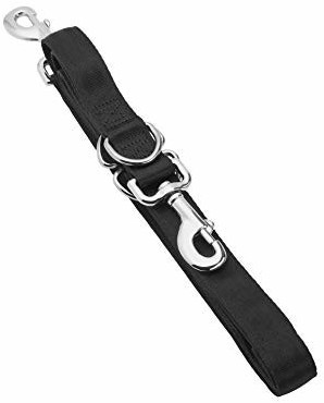 Interpet Mikki dog lead