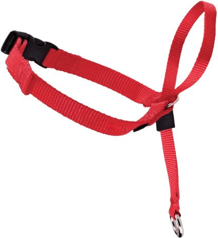 Petsafe Licol Easy Walk S