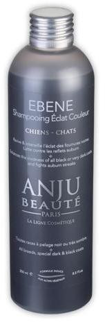 Anju Beaute Ébène Shampoing éclat couleur 250 ml
