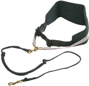 Flamingo Laisse Canicross 140 cm