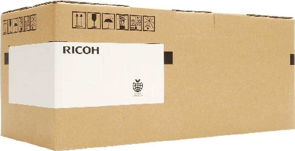 Ricoh D0892250