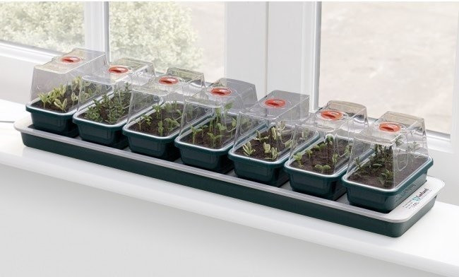 Garland Super 7 Windowsill Propagator
