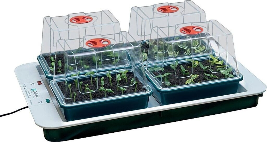 Garland Four Top Propagator
