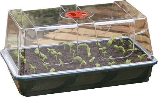 Garland High Dome Big Propagator