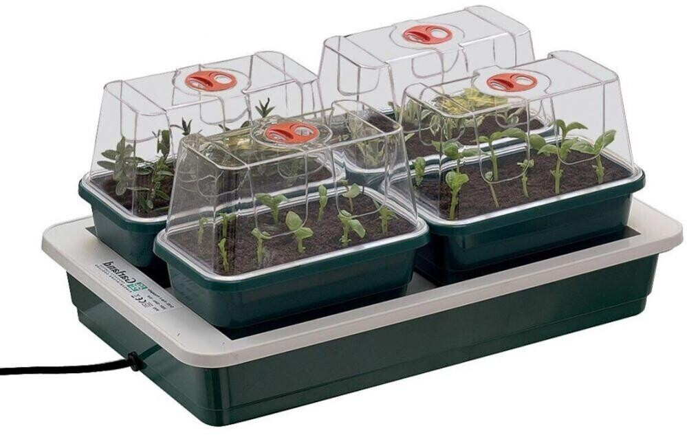 Garland Fab 4 Propagator