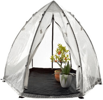Bio Green Tropical Island L