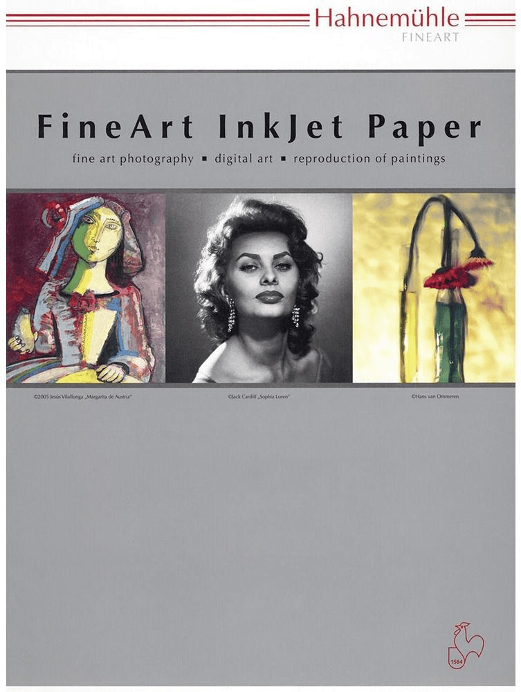 Hahnemühle Papier photo German Etching 310g A3 25 F (HAH10641642)