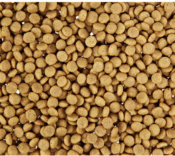 Royal Canin Ageing +12 Sterilised 4kg