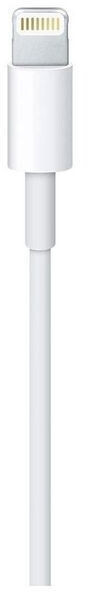 Apple Lightning auf USB Kabel 1,0m, Bild 4