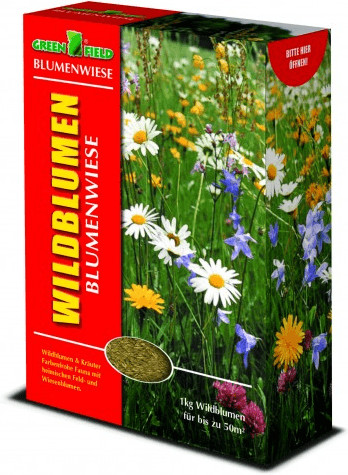 Greenfield Pelouse fleurs et herbes sauvages