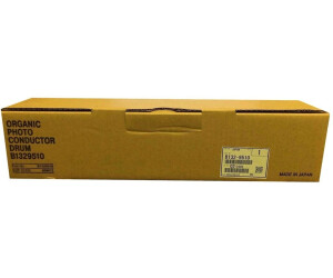Ricoh B1329510