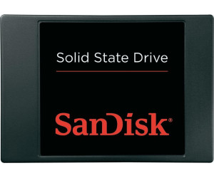SanDisk 256GB SATA III