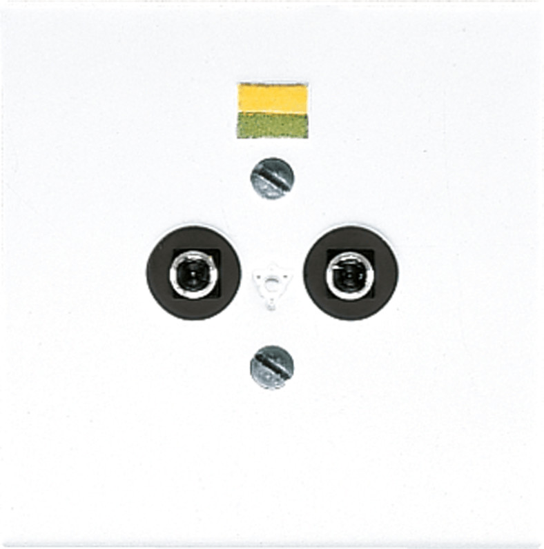 Jung LS965-2WW